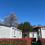 Camping-village Del Sole 营地 坎诺比奥